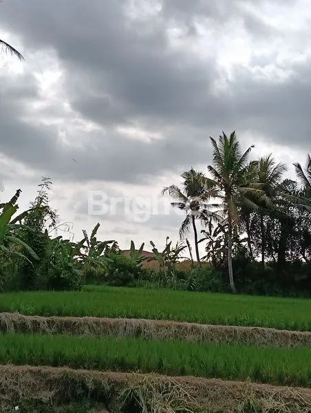 image TANAH EKSLUSIF 2.825 M2 ZONA PARIWISATA VIEW GUNUNG DAN HAMPARAN SAWAH HIJAU YANG MENENANGKAN DI UBUD  (3)