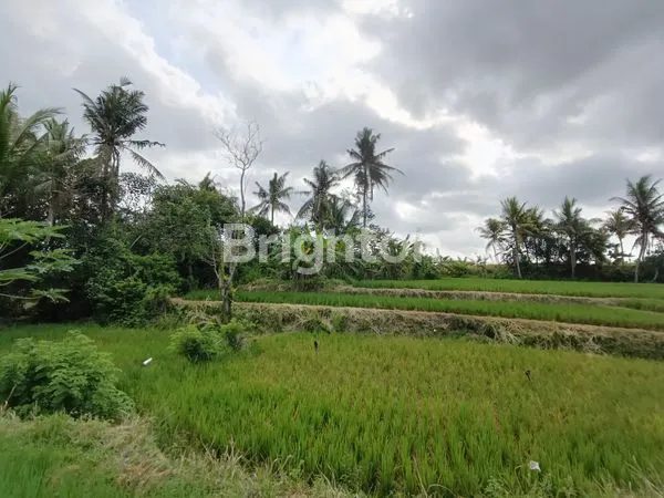 image TANAH EKSLUSIF 2.825 M2 ZONA PARIWISATA VIEW GUNUNG DAN HAMPARAN SAWAH HIJAU YANG MENENANGKAN DI UBUD  (6)