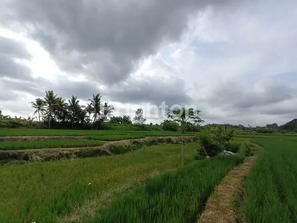 image TANAH EKSLUSIF 2.825 M2 ZONA PARIWISATA VIEW GUNUNG DAN HAMPARAN SAWAH HIJAU YANG MENENANGKAN DI UBUD  (7)
