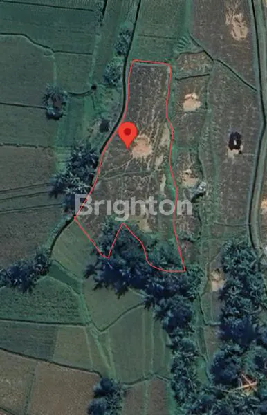 image TANAH EKSLUSIF 2.825 M2 ZONA PARIWISATA VIEW GUNUNG DAN HAMPARAN SAWAH HIJAU YANG MENENANGKAN DI UBUD  (8)