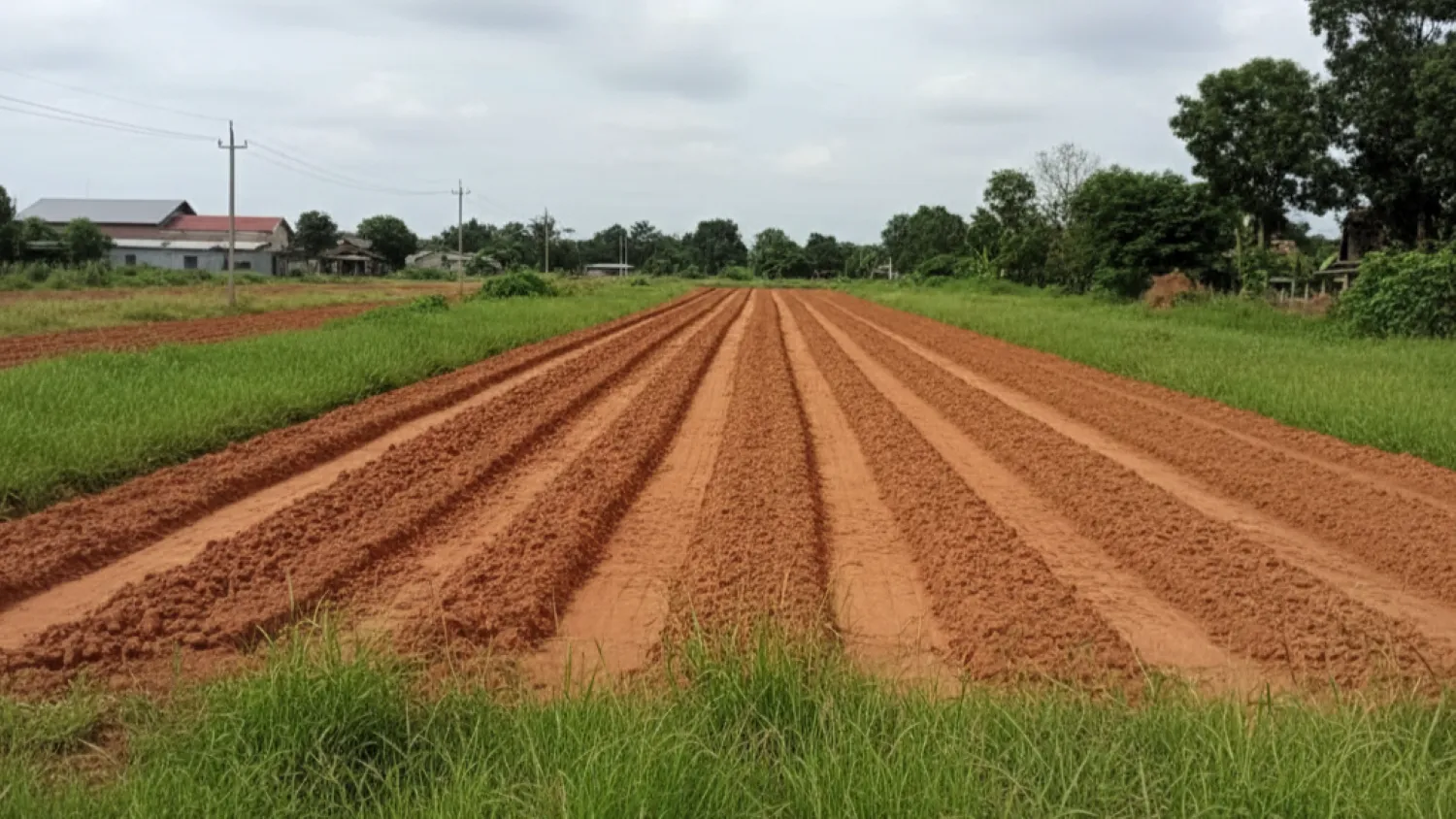 panduan contoh surat jual beli tanah legal 7 deskripsi objek jual beli