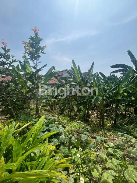 image TANAH STRATEGIS LABUHAN RATU 445M² DEKAT MBK (4)