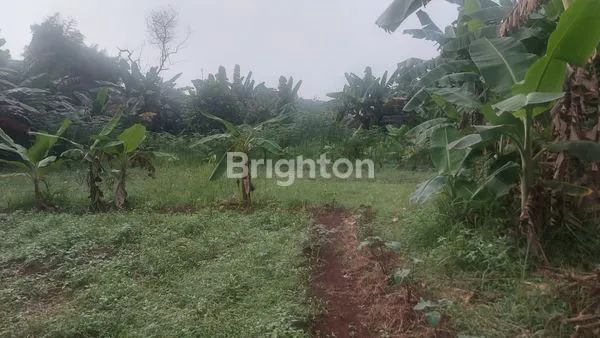 image DIJUAL TANAH KAVLING 9800M2 DI CITEUREUP BOGOR (2)