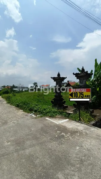 image JUAL/SEWA TANAH AREA RAYA TUMBAKBAYUH PERERENAN, DEKAT BYPASS TANAH LOT (2)
