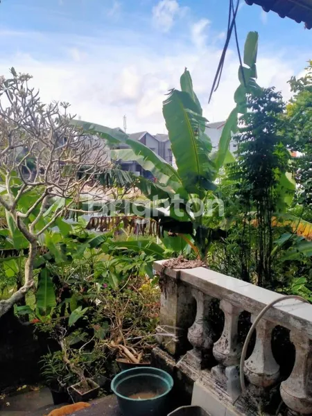 image DIKONTRAKKAN JANGKA PANJANG RUMAH 4 KAMAR LOKASI JALAN UTAMA UNGASAN BADUNG   (4)