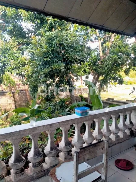 image DIKONTRAKKAN JANGKA PANJANG RUMAH 4 KAMAR LOKASI JALAN UTAMA UNGASAN BADUNG   (5)