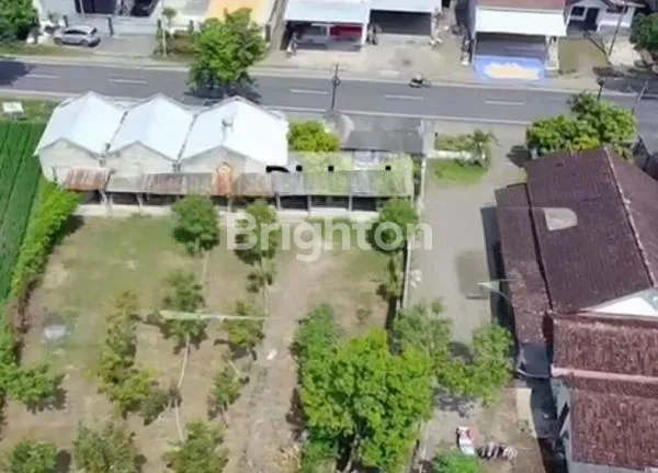 image TANAH STRATEGIS NOL JALAN PROPINSI COCOK UNTUK USAHA (2)