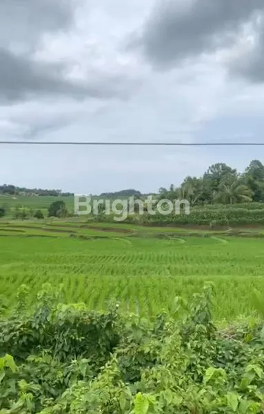 image TANAH JONGGOL JAWA BARAT (1)