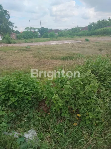 image DISEWAKAN TANAH 34 ARE - (3)