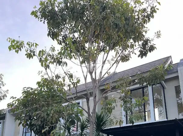 image RUMAH DI CITRALAND NORTHWEST HILL  (1)