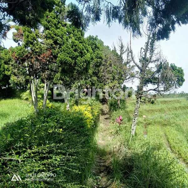 image TANAH BEKAS ASET STRATEGIS DI PACET, SIAP GUNA (3)