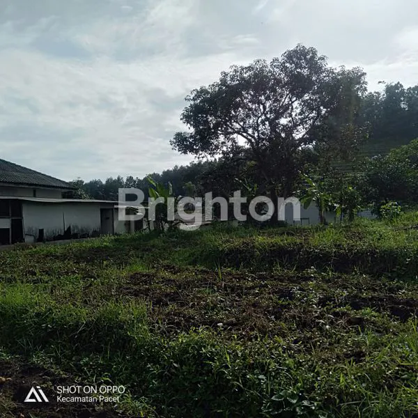 image TANAH BEKAS ASET STRATEGIS DI PACET, SIAP GUNA (4)