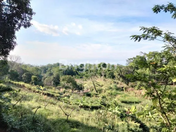 image DI JUAL VILLA SIAP HUNI DI SUKABUMI, 20-25 MENIT KE CURUG SODONG, 10-15 MENIT KE CURUG CIMARINJUNG, 15-20 MENIT KE AMPHITEATHER CILETUH (4)