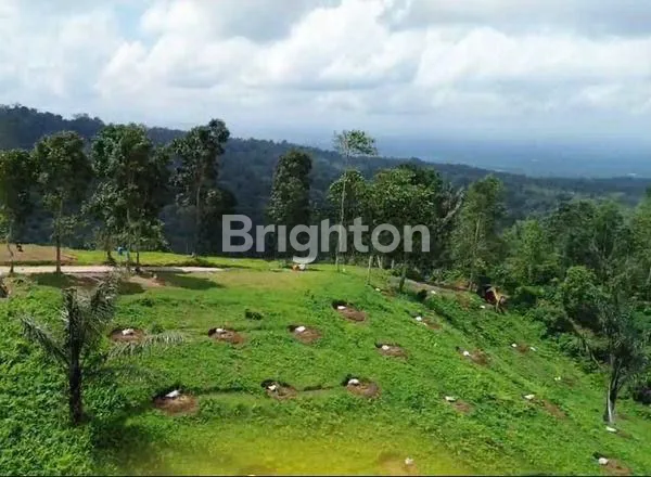 image INVESTASI BERNILAI TINGGI DI KAWASAN WISATA BALI (6)