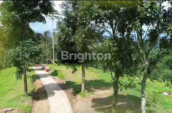 image INVESTASI BERNILAI TINGGI DI KAWASAN WISATA BALI (8)