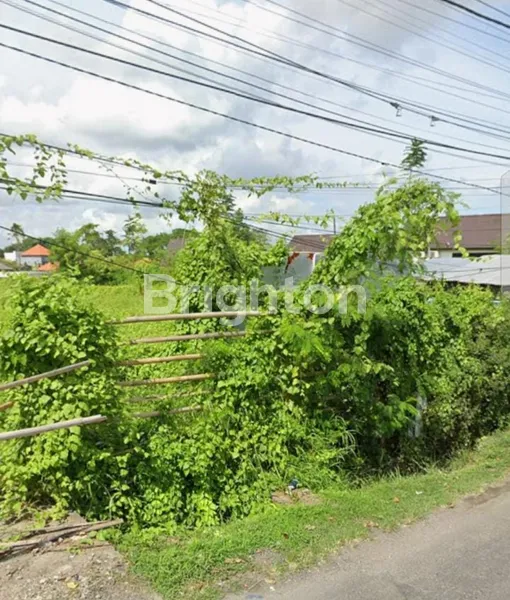 image TANAH DISEWAKAN 16 ARE DI JL PADANG LINJONG, CANGGU (3)