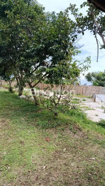 image TANAH KOSONG PREMIUM 2.100 $\TEXT{M}^2$ - LOKASI LEMBANG, BANDUNG BARAT COCOK UNTUK RESORT, VILLA, ATAU INVESTASI JANGKA PANJANG! (4)