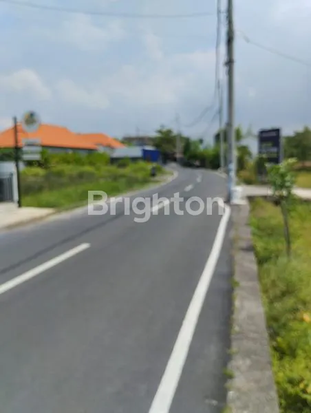 image LAND 55,5 ARE IN RARE ROAD CANGGU PREMIUM LOCATION FOR GOOD INVESTMENT!!  (2)