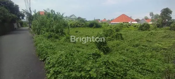 image LAND 55,5 ARE IN RARE ROAD CANGGU PREMIUM LOCATION FOR GOOD INVESTMENT!!  (5)