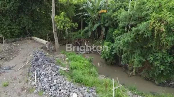 image TANAH 4,25 ARE PREMIUM LOCATION IN TUMBAK BAYU PERERENAN (3)