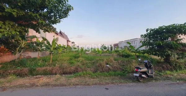 image TANAH LUAS 37 ARE DI MUNGGU, DEKAT PANTAI (5)