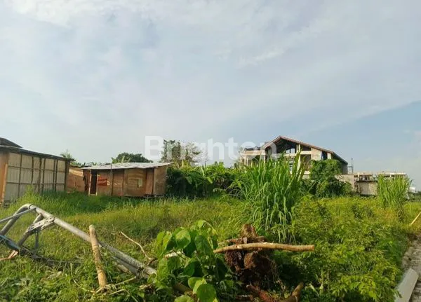 image TANAH LUAS 37 ARE DI MUNGGU, DEKAT PANTAI (4)