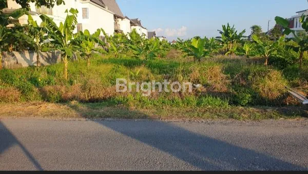 image TANAH LUAS 37 ARE DI MUNGGU, DEKAT PANTAI (2)