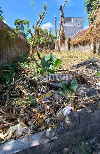 image LANGKA! TANAH PLOT KECIL SUPER STRATEGIS DI JL. KAYU TULANG CANGGU BALI — COCOK RESTO, CAFE& VILLA \UD83D\UDD25 (2)