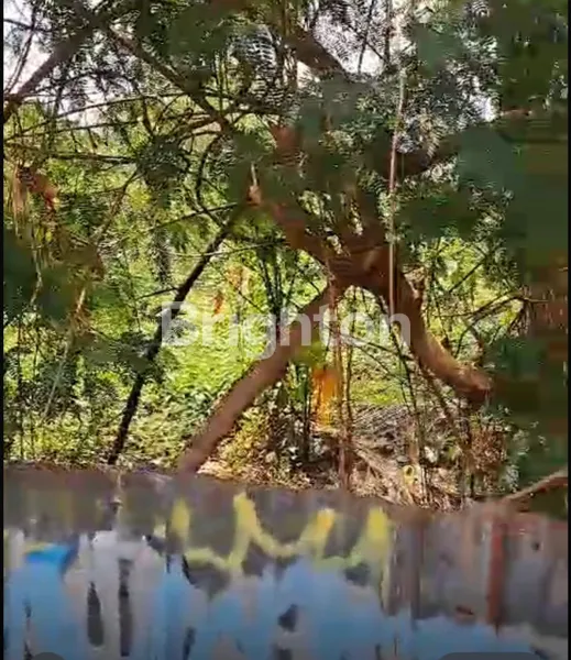 image J016 - DIJUAL TANAH PINGGIR JALAN . WARUNG BUNCIT 7.500 M2   (4)