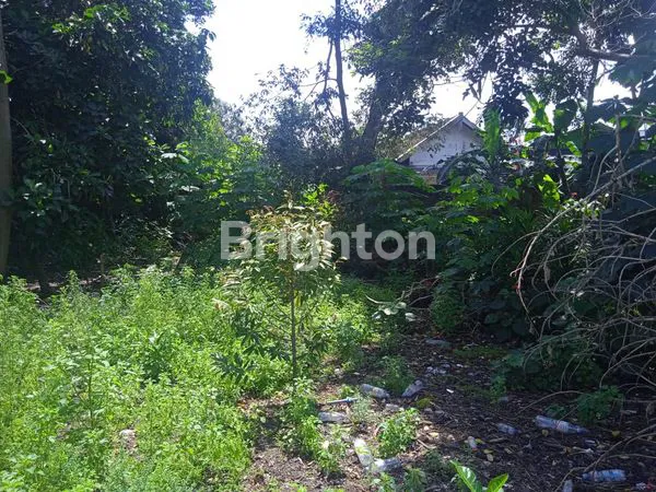 image RUMAH 3 KT SHM, LOKASI PUSAT KOTA (4)