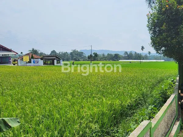 image TANAH STRATEGIS 6.030M² DI SAGALAHERANG (2)