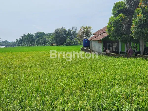 image TANAH STRATEGIS 6.030M² DI SAGALAHERANG (4)