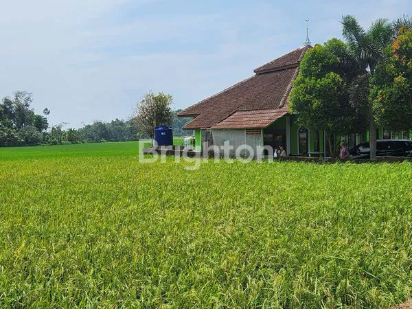 image TANAH STRATEGIS 6.030M² DI SAGALAHERANG (5)