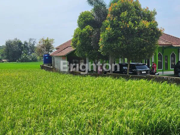 image TANAH STRATEGIS 6.030M² DI SAGALAHERANG (6)