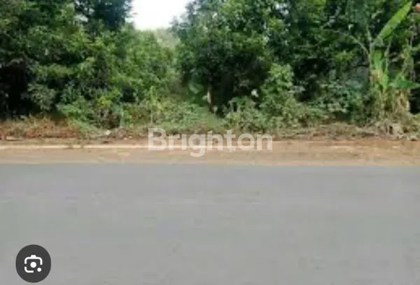 image TANAH DI CIKUMURANG, SUBANG (1)