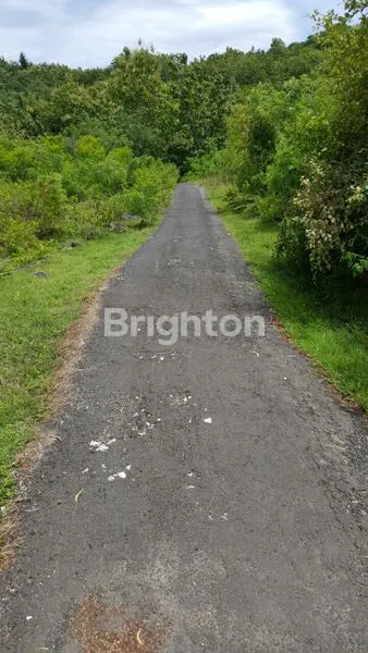 image TANAH SIAP BANGUN DI BUKIT PEJUKUTAN (3)