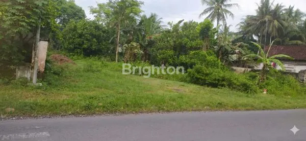 image TANAH STRATEGIS 826 M² PINGGIR JALAN – BANGSRI NGLEGOK BLITAR, COCOK USAHA & HUNIAN! (1)