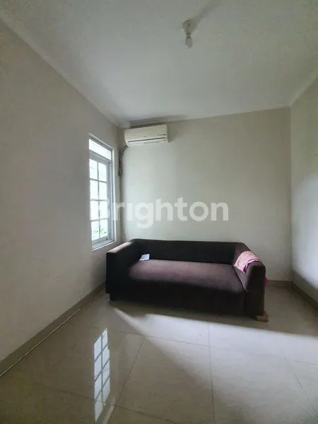 image CLUSTER AMSTERDAM KOTWIS - BU (6)