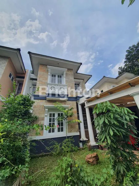 image CLUSTER AMSTERDAM KOTWIS - BU (1)