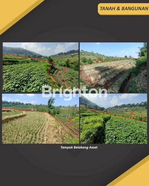 image TANAH BEKAS ASET STRATEGIS DI PACET, SIAP GUNA (7)