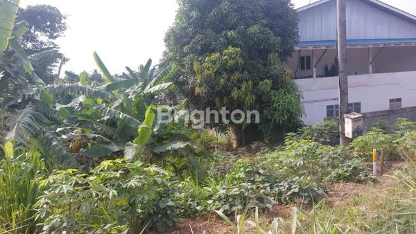 image LAHAN STRATEGIS 60M LEBAR, SHM, NEGO (3)