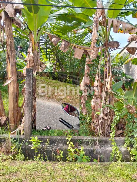SEBIDANG TANAH KEBUN PISANG