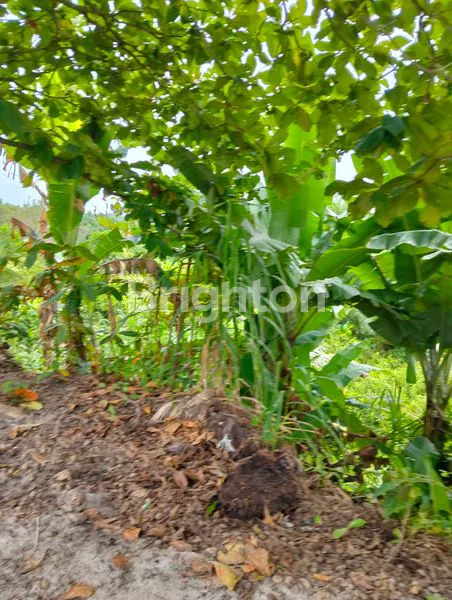 TANAH KAPLINGAN 2 SURAT