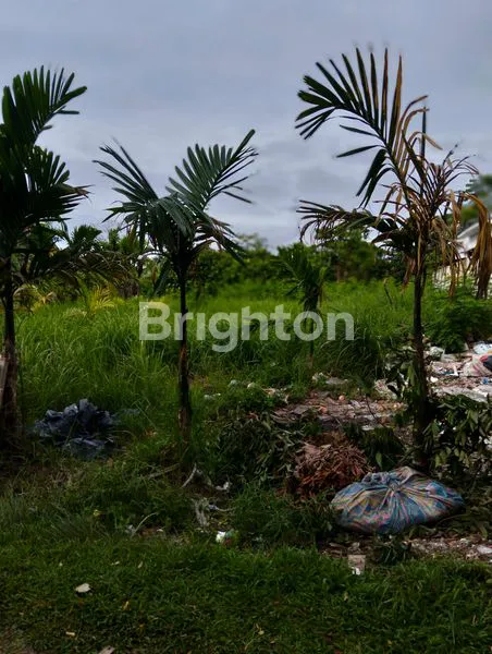 image SEBIDANG TANAH PANDAU JAYA (3)