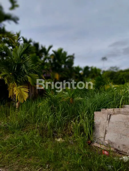 image SEBIDANG TANAH PANDAU JAYA (2)