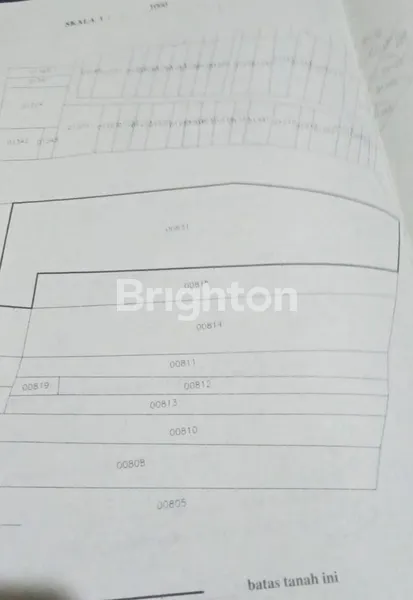 image DIJUAL TANAH PEKARANGAN MASIH PRODUKTIF LOKASI LAMONGAN (1)