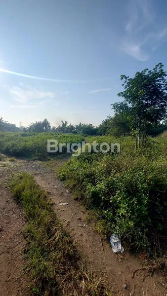 image DIJUAL TANAH KOSONG 7HA, HARGA MURAH\NLEGOK - TANGERANG (4)