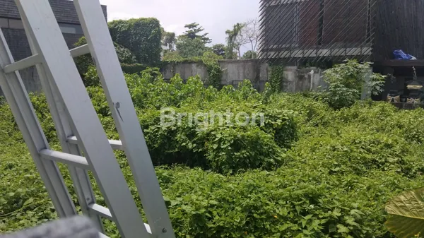 image DISEWA TANAH DI JALAN MUNDUK KEDUNGU (2)