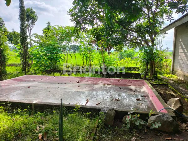 image RUMAH DI JALAN UTAMA JL. RAYA SUKOHARJO - BEKONANG,  (3)