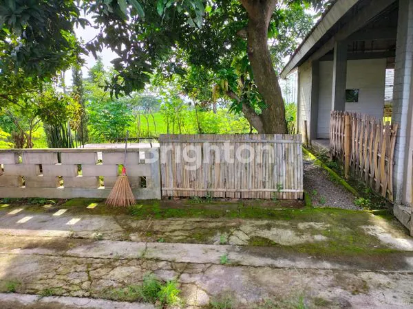 image RUMAH DI JALAN UTAMA JL. RAYA SUKOHARJO - BEKONANG,  (4)